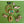 Load image into Gallery viewer, COLLECTOR'S DROP - Butterfly Drop