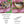 Load image into Gallery viewer, COLLECTOR'S DROP - Butterfly Drop