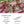 Load image into Gallery viewer, COLLECTOR'S DROP - Butterfly Drop