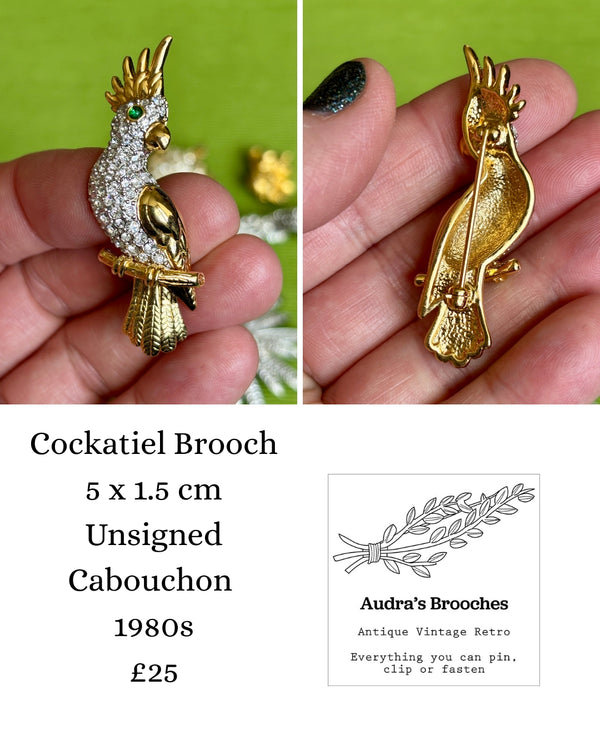COLLECTOR'S DROP - Turtle Collection
