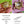 Load image into Gallery viewer, COLLECTOR'S DROP - Turtle Collection