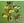 Load image into Gallery viewer, COLLECTOR'S DROP - Butterfly Drop