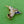 Load image into Gallery viewer, Gold and Black Hummingbird Brooch with Green Eyes
