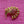 Load image into Gallery viewer, Monet Braided Spray or Fan Brooch