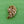 Load image into Gallery viewer, Grosse Gold Leaves 1964 Brooch