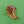 Load image into Gallery viewer, Grosse Gold Leaves 1964 Brooch