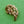 Load image into Gallery viewer, Grosse Gold Leaves 1964 Brooch