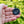 Load image into Gallery viewer, Czech Glass Black Styles Vintage Brooches