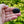 Load image into Gallery viewer, Czech Glass Black Styles Vintage Brooches