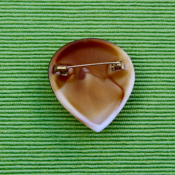 Czech Glass Caramel Ammonite Shell Brooch