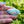 Load image into Gallery viewer, Czech Glass Rainbow Shell