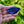 Load image into Gallery viewer, Czech Glass Blue Flipper