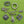 Load image into Gallery viewer, Pearl Bar Pin
