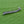 Load image into Gallery viewer, Pearl Bar Pin