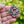 Load image into Gallery viewer, Silver Pearl and Turquoise Wreath Brooch