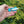 Load image into Gallery viewer, Colourful Fish Brooches