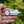 Load image into Gallery viewer, White Fish Brooch