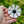 Load image into Gallery viewer, French Acrylic Daisy Brooch