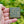 Load image into Gallery viewer, Random Mosaic Pattern Brooch