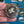 Load image into Gallery viewer, COLLECTOR'S DROP - Silver Brooches