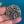 Load image into Gallery viewer, COLLECTOR'S DROP - Silver Brooches