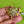 Load image into Gallery viewer, COLLECTOR'S DROP - Turtle Collection