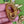Load image into Gallery viewer, COLLECTOR'S DROP - Butterfly Drop