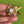 Load image into Gallery viewer, COLLECTOR'S DROP - Butterfly Drop