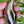 Load image into Gallery viewer, COLLECTOR'S DROP - Big and Fancy