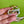 Load image into Gallery viewer, COLLECTOR'S DROP - Big and Fancy