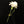 Load image into Gallery viewer, Edwardian Brass Pin