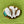 Load image into Gallery viewer, Cloisonné Enamel Plant Leaves Brooch