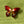 Load image into Gallery viewer, Cloisonné Enamel Butterfly Brooches