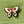 Load image into Gallery viewer, Cloisonné Enamel Butterfly Brooches
