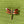 Load image into Gallery viewer, Cloisonné Enamel Dragonfly Brooches