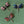 Load image into Gallery viewer, Cloisonné Enamel Dragonfly Brooches