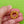 Load image into Gallery viewer, Topaz Wreath Brooch