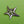 Load image into Gallery viewer, Double Silver Starfish Brooch