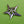 Load image into Gallery viewer, Double Silver Starfish Brooch