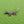 Load image into Gallery viewer, Tiny Dog Brooch