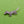 Load image into Gallery viewer, Tiny Dog Brooch