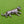 Load image into Gallery viewer, Silver Walking Enamel Tiger Brooch