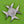 Load image into Gallery viewer, Silver Military Cross Brooch