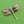Load image into Gallery viewer, Cloisonné Enamel Dragonfly Brooches