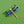 Load image into Gallery viewer, Cloisonné Enamel Dragonfly Brooches