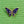 Load image into Gallery viewer, Cloisonné Enamel Butterfly Pins