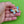 Load image into Gallery viewer, Cloisonné Enamel Butterfly Brooches
