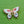 Load image into Gallery viewer, Cloisonné Enamel Butterfly Brooches