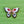 Load image into Gallery viewer, Cloisonné Enamel Butterfly Brooches