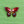 Load image into Gallery viewer, Cloisonné Enamel Butterfly Brooches